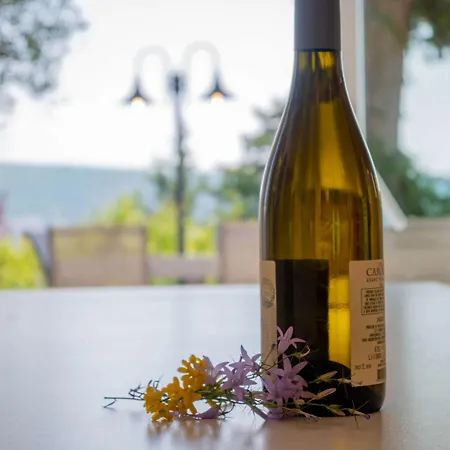 Villa Porto Olive - Private 4 Bedroom Next To Piran & Portoroz Sečovlje