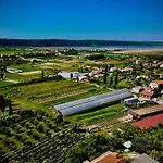 Porto Olive Heated Pool Near Piran & Portoroz Vila Secovlje