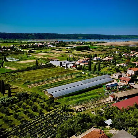 Porto Olive - Private 4 Bedroom Next To Piran & Portoroz Villa Sečovlje
