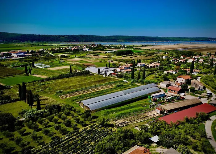 Porto Olive Heated Pool Near Piran & Portoroz Villa Sečovlje